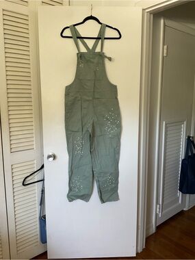 Aerie overalls